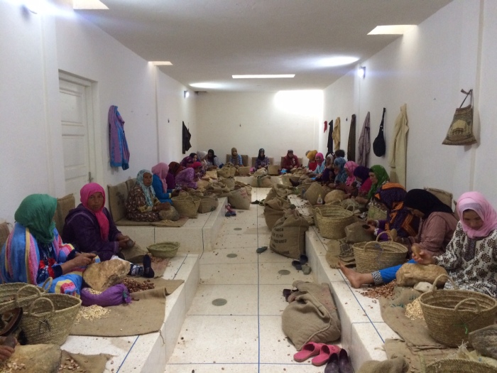 how fairtrade organic argan oil is made in morocco weleda sidi yassin womens cooperative2